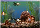 Goldfish Aquarium 2